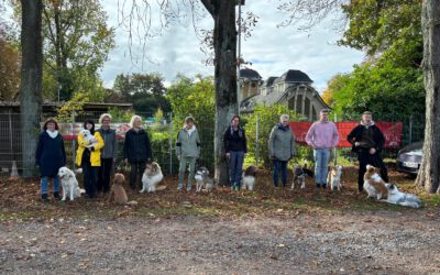 Begleithundprüfung am 18.10.2025 mit Susanne Wachsmut